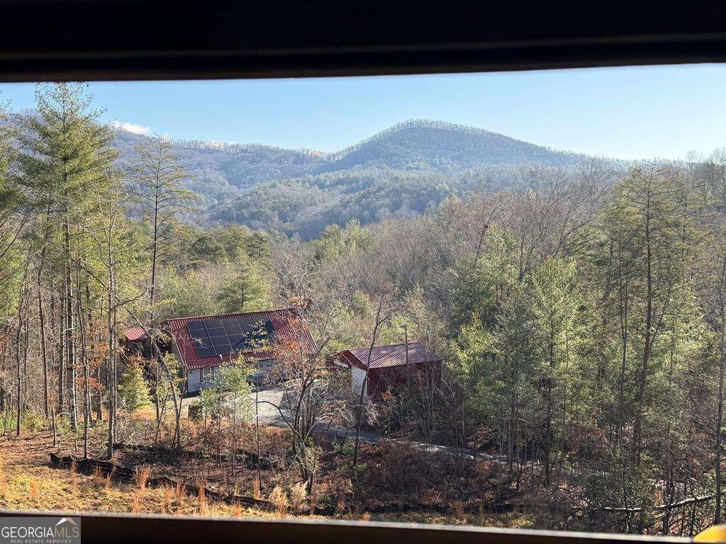 Mineral Bluff, Georgia, 30559, United States, 3 Bedrooms Bedrooms, ,3 BathroomsBathrooms,Residential,For Sale,2006600