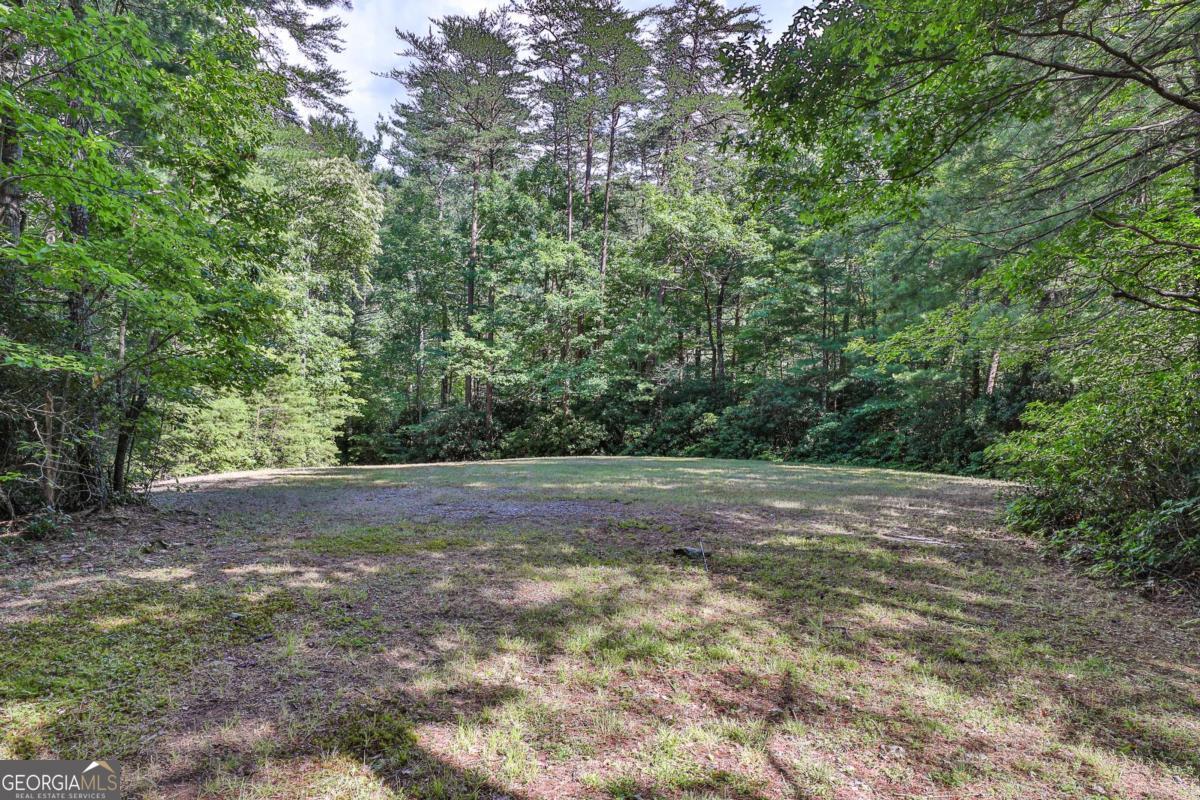 Cherry Log, Georgia, 30522, United States, ,Land,For Sale,1859131