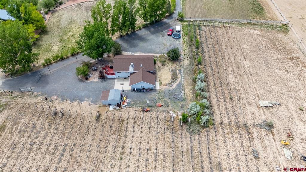 Austin, Colorado, 81410, United States, 4 Bedrooms Bedrooms, ,3 BathroomsBathrooms,Residential,For Sale,1976100