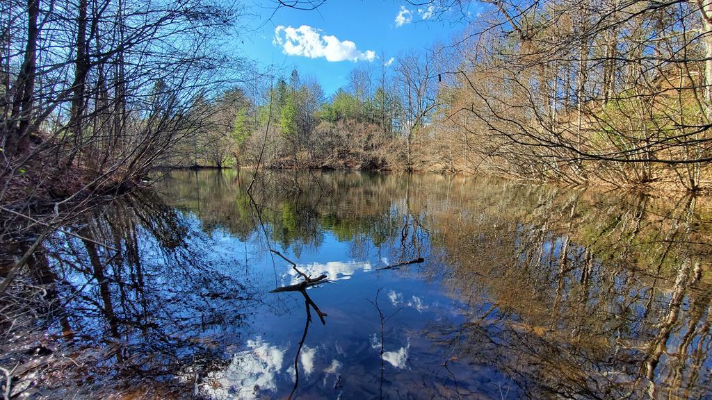 Cherry Log, Georgia, 30522, United States, ,Land,For Sale,1858995