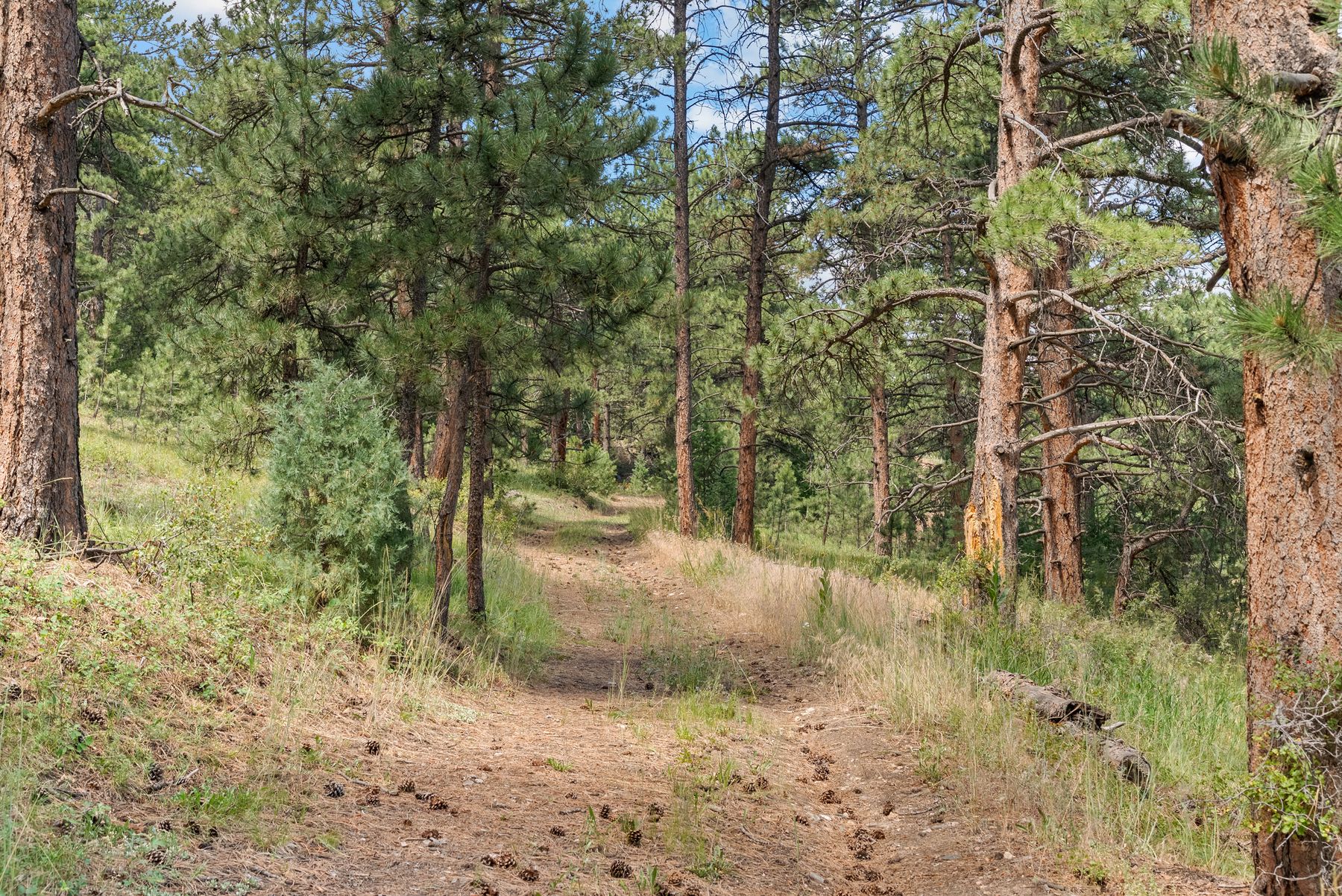  000 Hotel Way, Golden, CO, 80401 - 物件實景