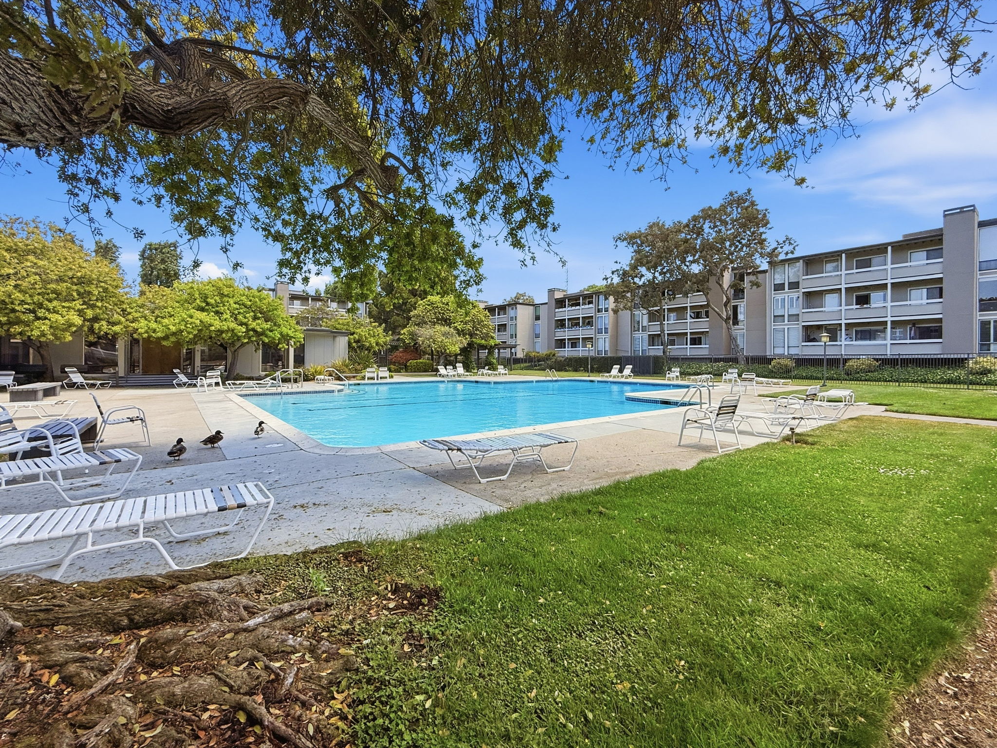  Fabulous Foster City Condo - 物件實景