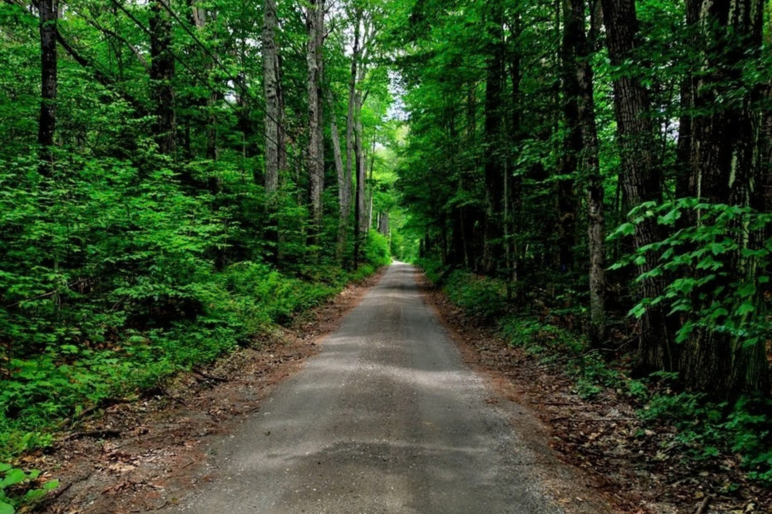  21 Acres Between 2 Parcels of Conservation Land Offering Significant Development - 物件實景