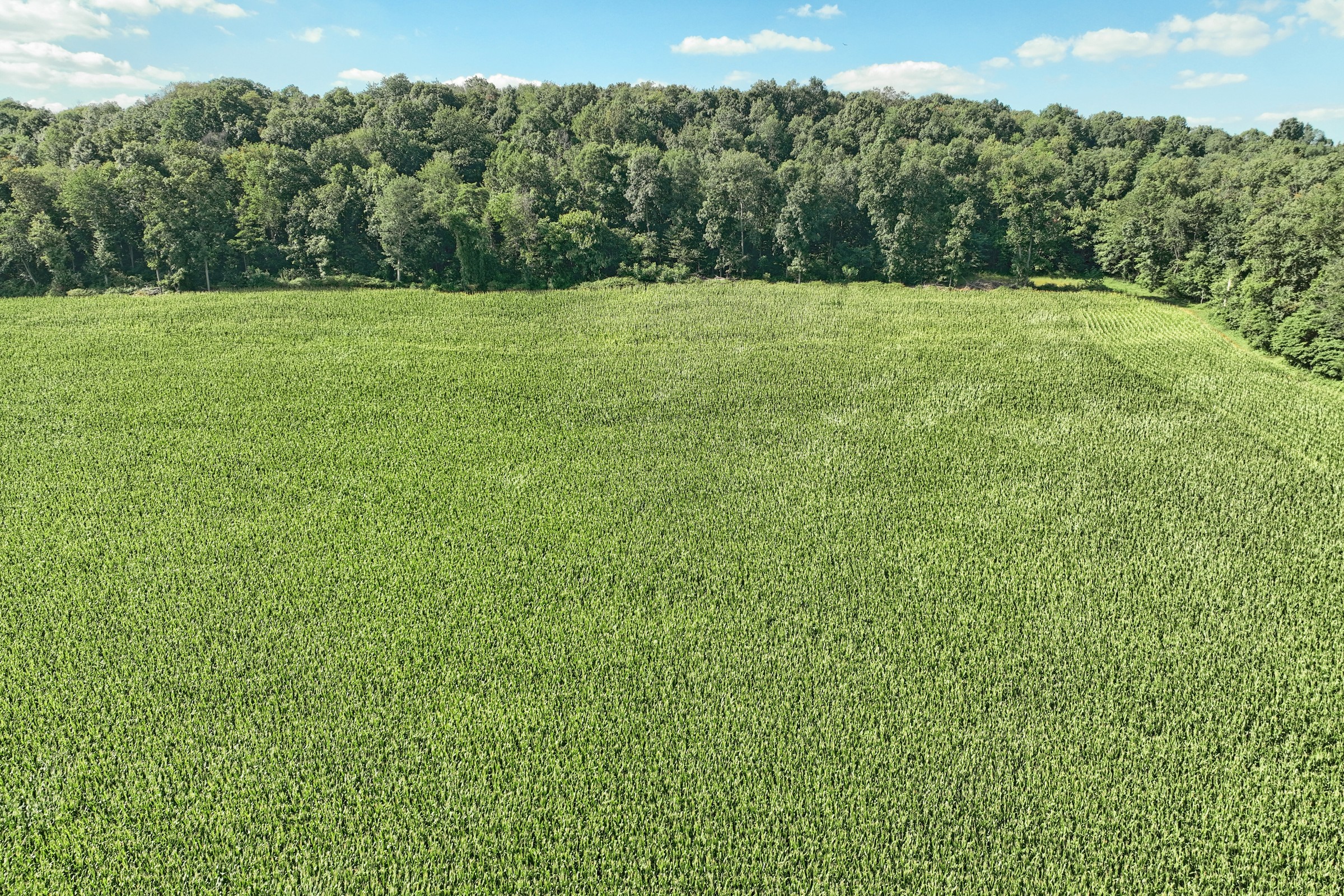 Felton, Pennsylvania, 17322, United States, 4 Bedrooms Bedrooms, ,2 BathroomsBathrooms,Residential,For Sale,1977692