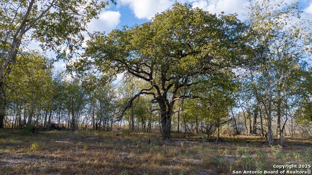 Other, 11111, United States, ,Land,For Sale,1951420