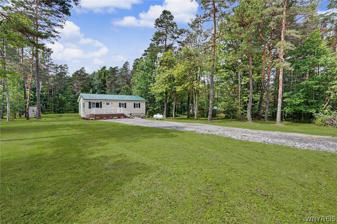 Tug Hill Rd, Machias, NY 14101 #1