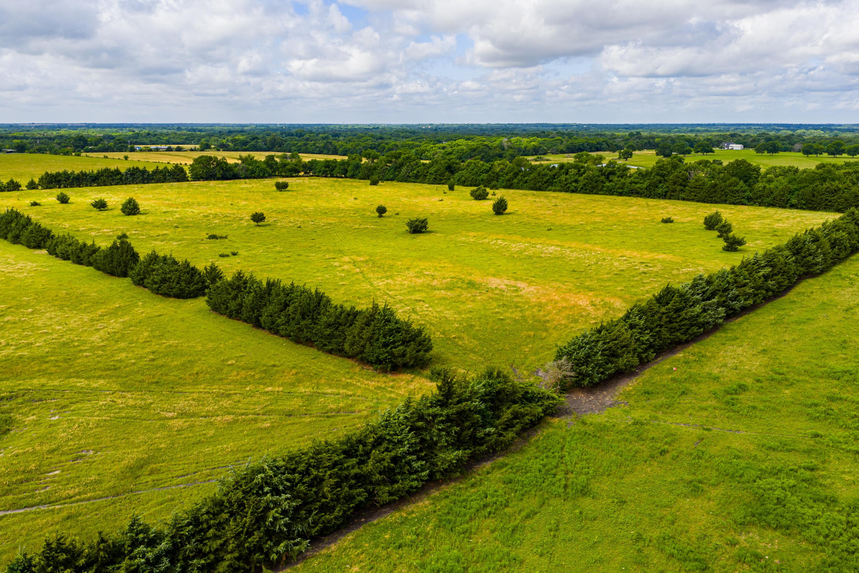  Hickory Creek Ranch - 物件實景