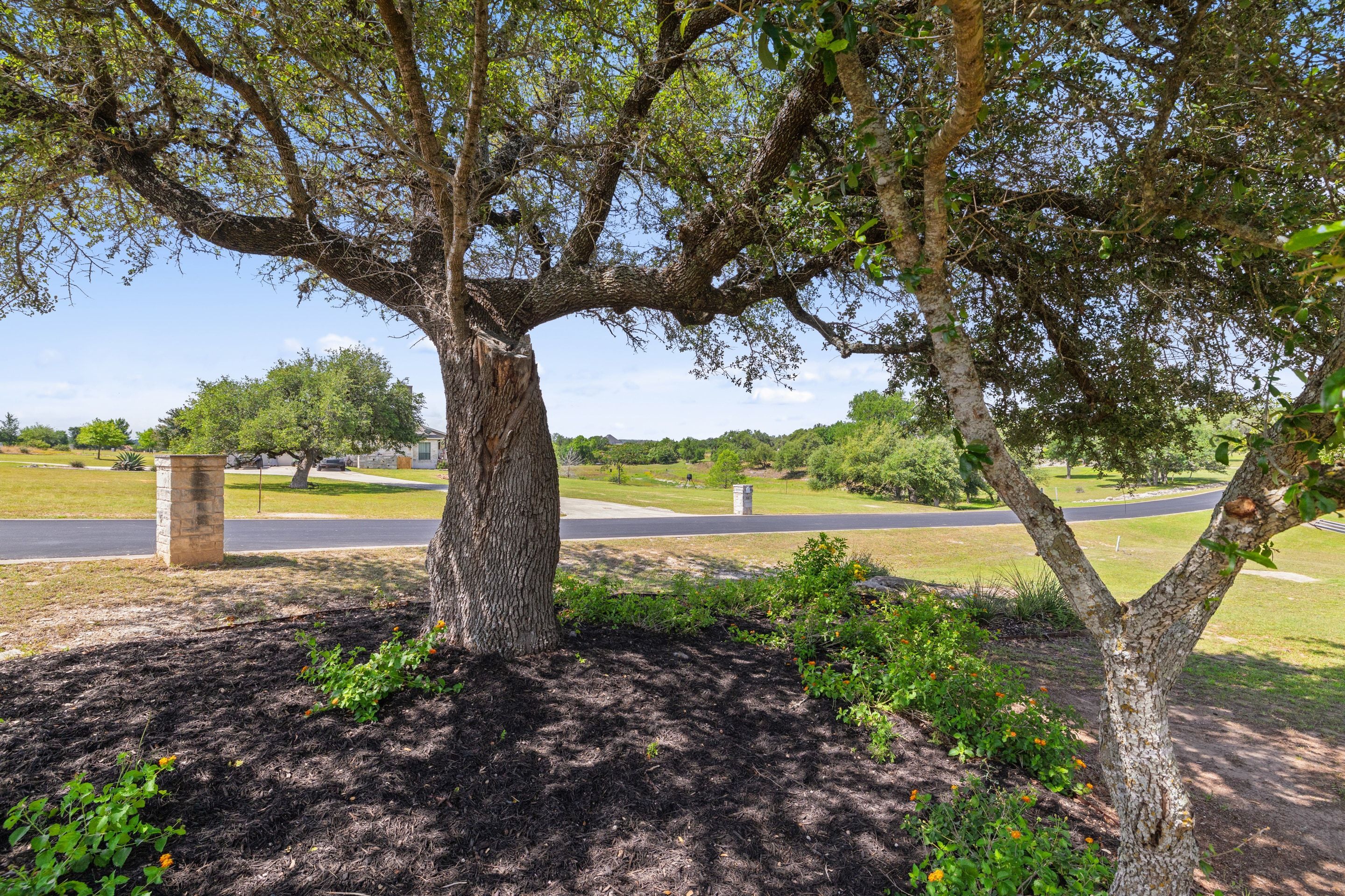  Self-Sufficient Luxury in Dripping Springs - 物件實景