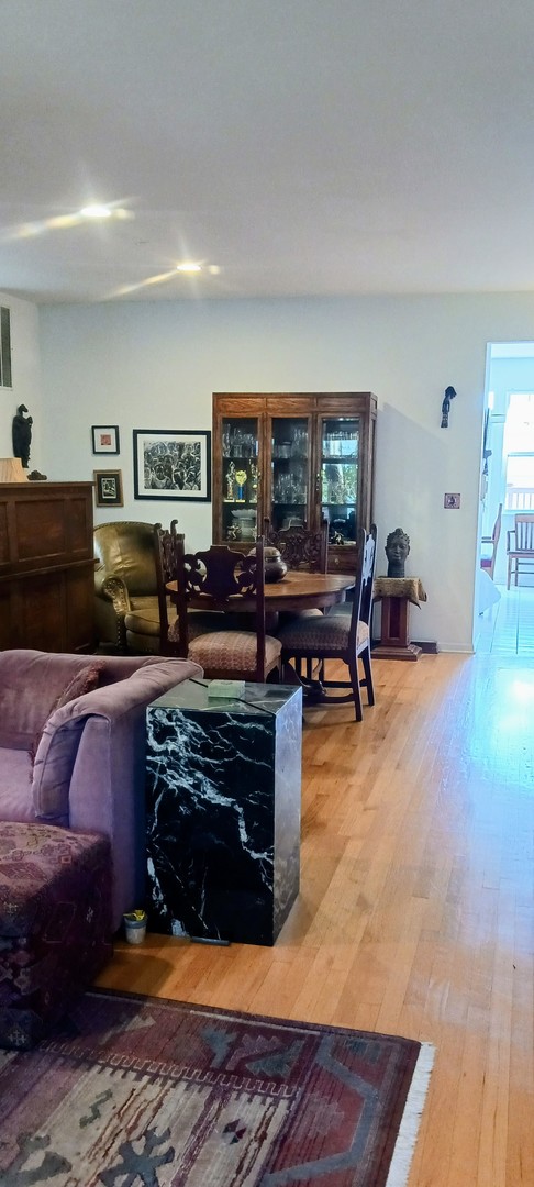 Chicago, Illinois, 60615, United States, 3 Bedrooms Bedrooms, ,3 BathroomsBathrooms,Residential,For Sale,2034443