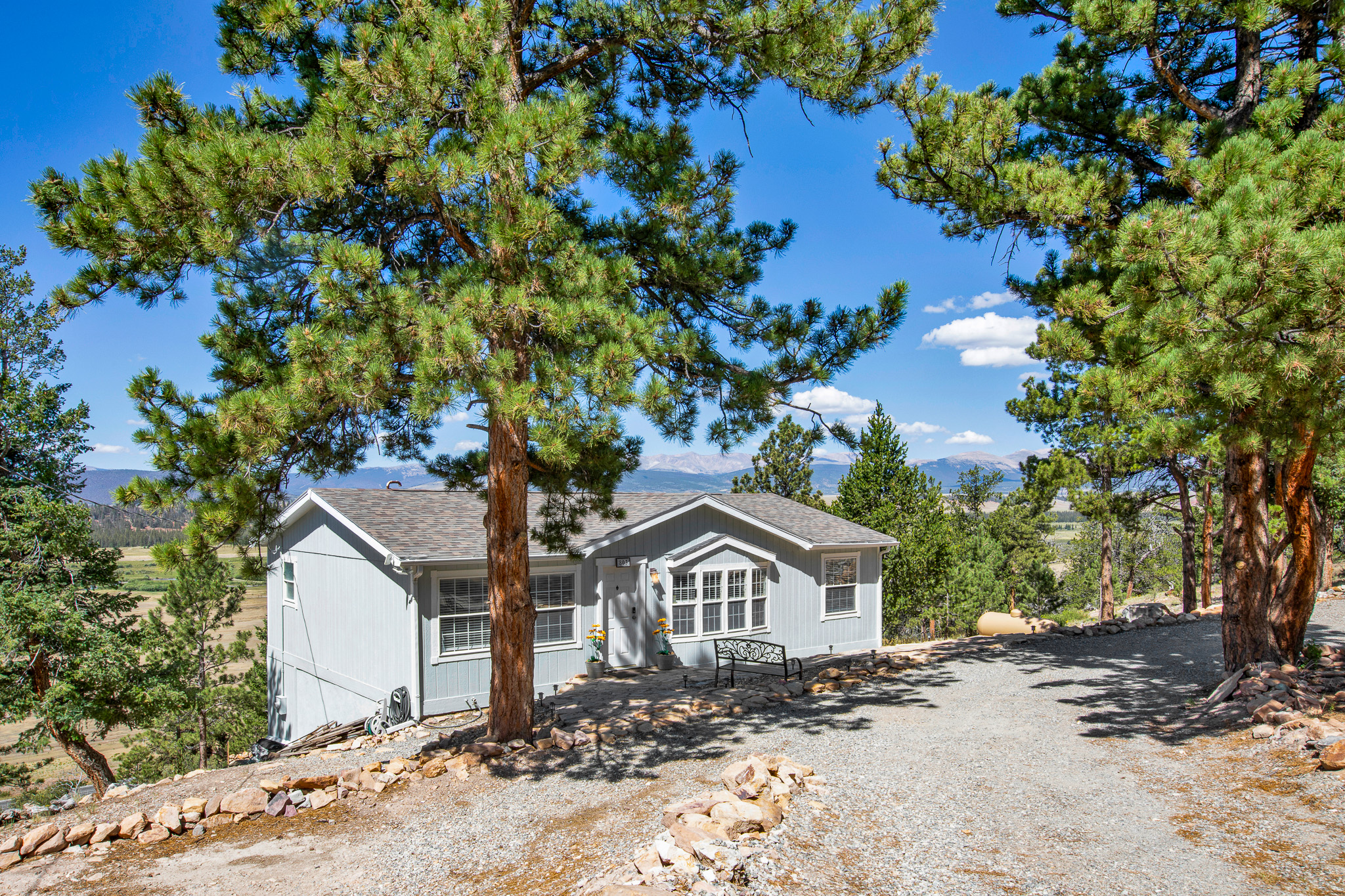  803 Bonell Drive, Fairplay, CO, 80440 - 物件實景