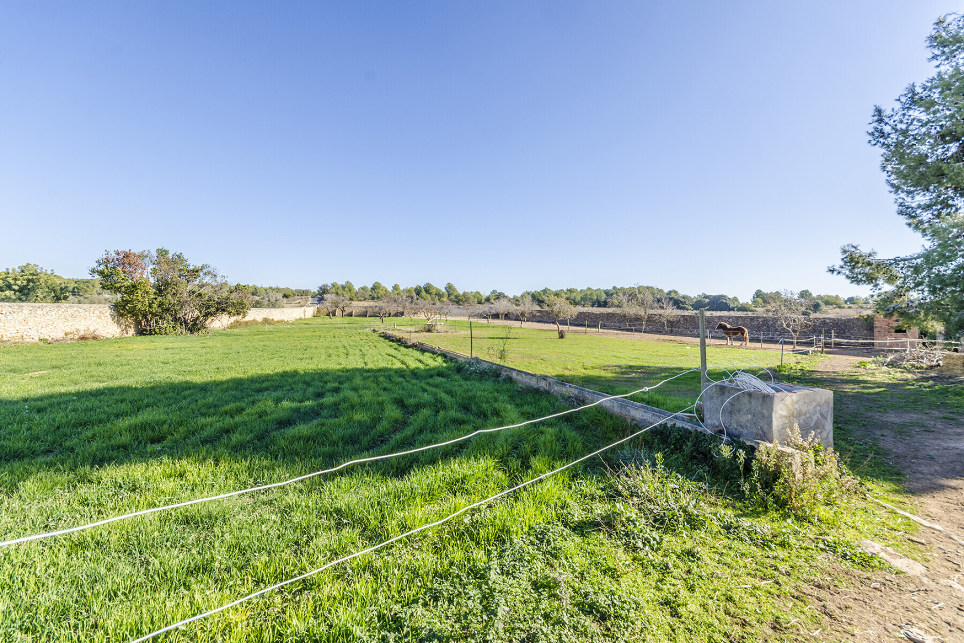  Masia with Vineyards and 3.13 Hectares in Vilanova i la Geltrú - 物件實景