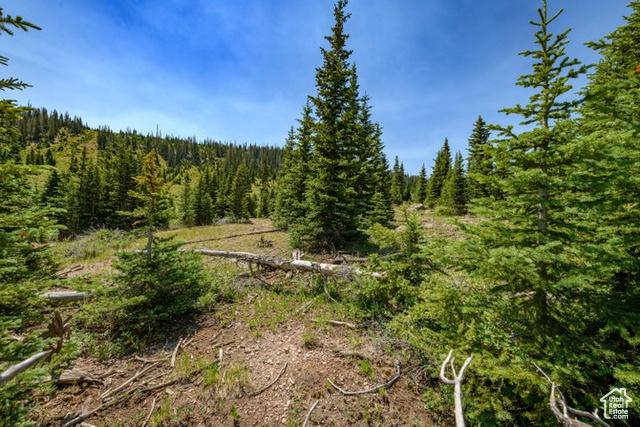 Brian Head, Utah, 84719, United States, ,Residential,For Sale,1915846