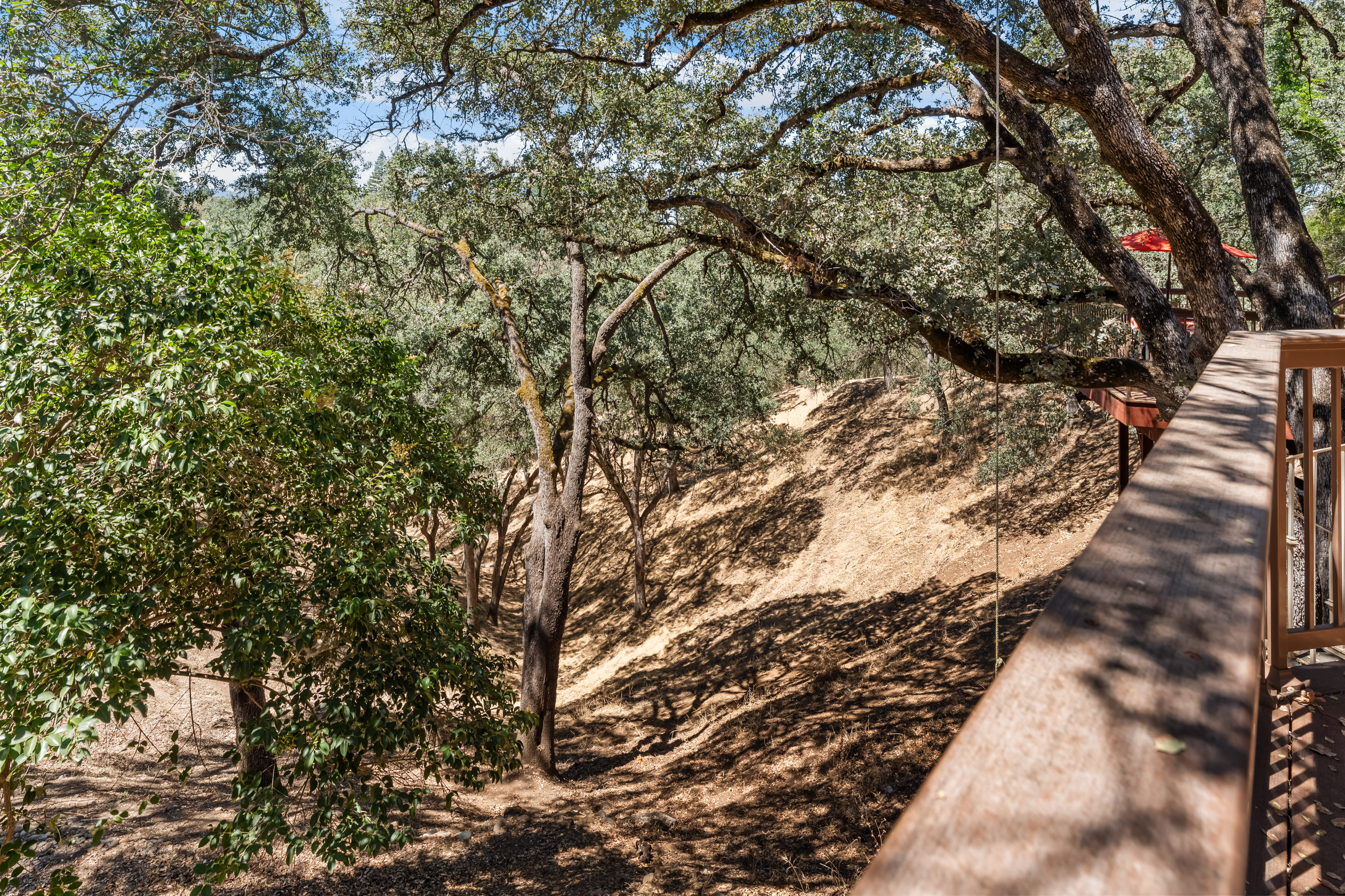  4233 Curragh Oaks Lane, Fair Oaks, CA 95628 - 物件實景