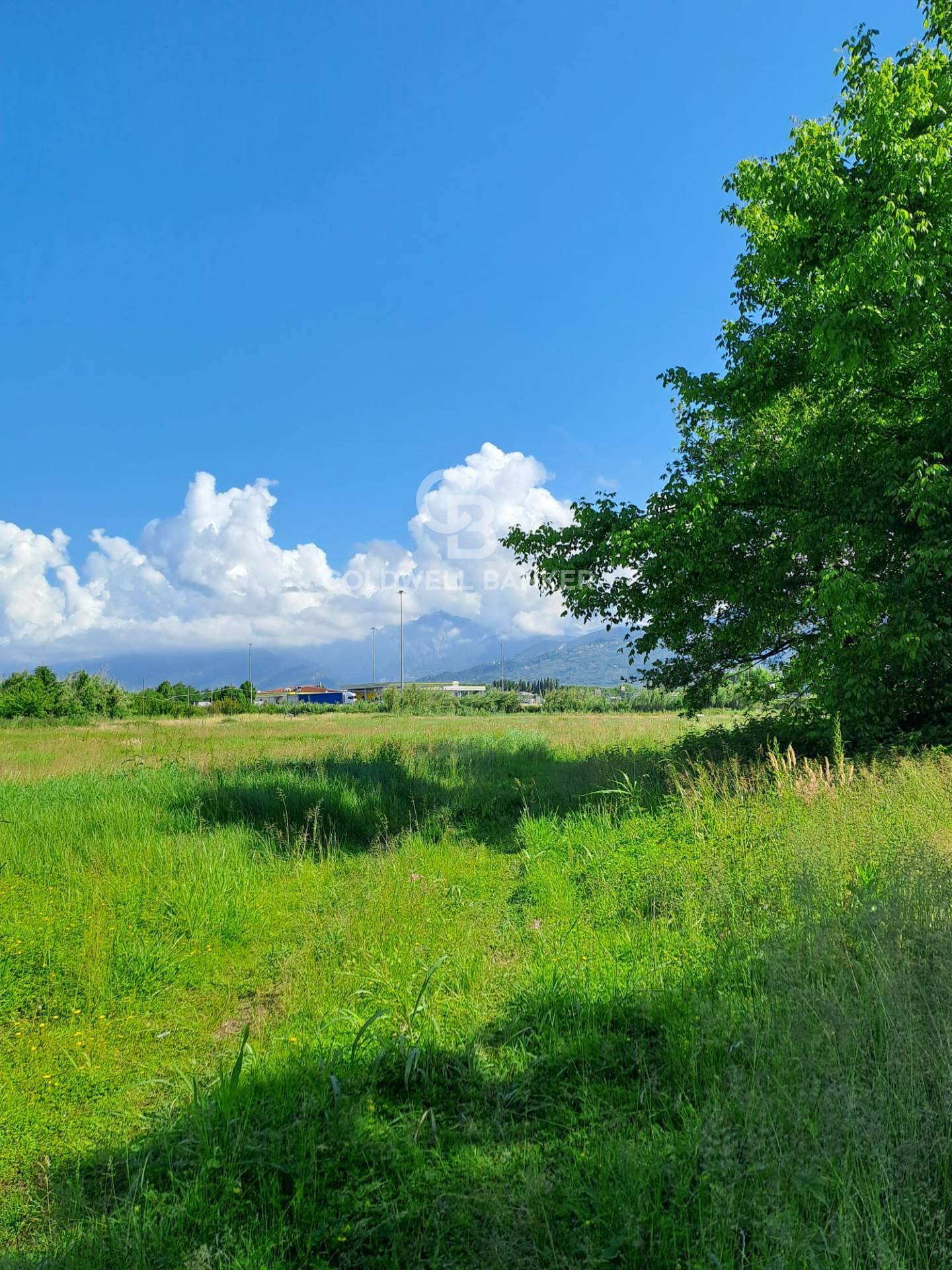 Pietrasanta, Lucca, 55045, IT, 4 Bedrooms Bedrooms, ,4 BathroomsBathrooms,Residential,For Sale,1826439