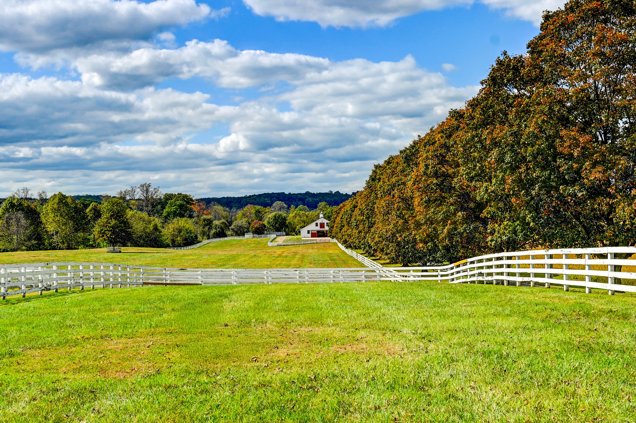  Worthington Valley - 物件實景