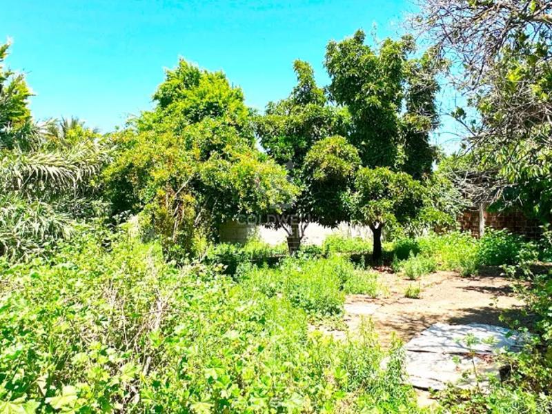 San Vicente, Chile, 3 Bedrooms Bedrooms, ,1 BathroomBathrooms,Land,For Sale,1696032