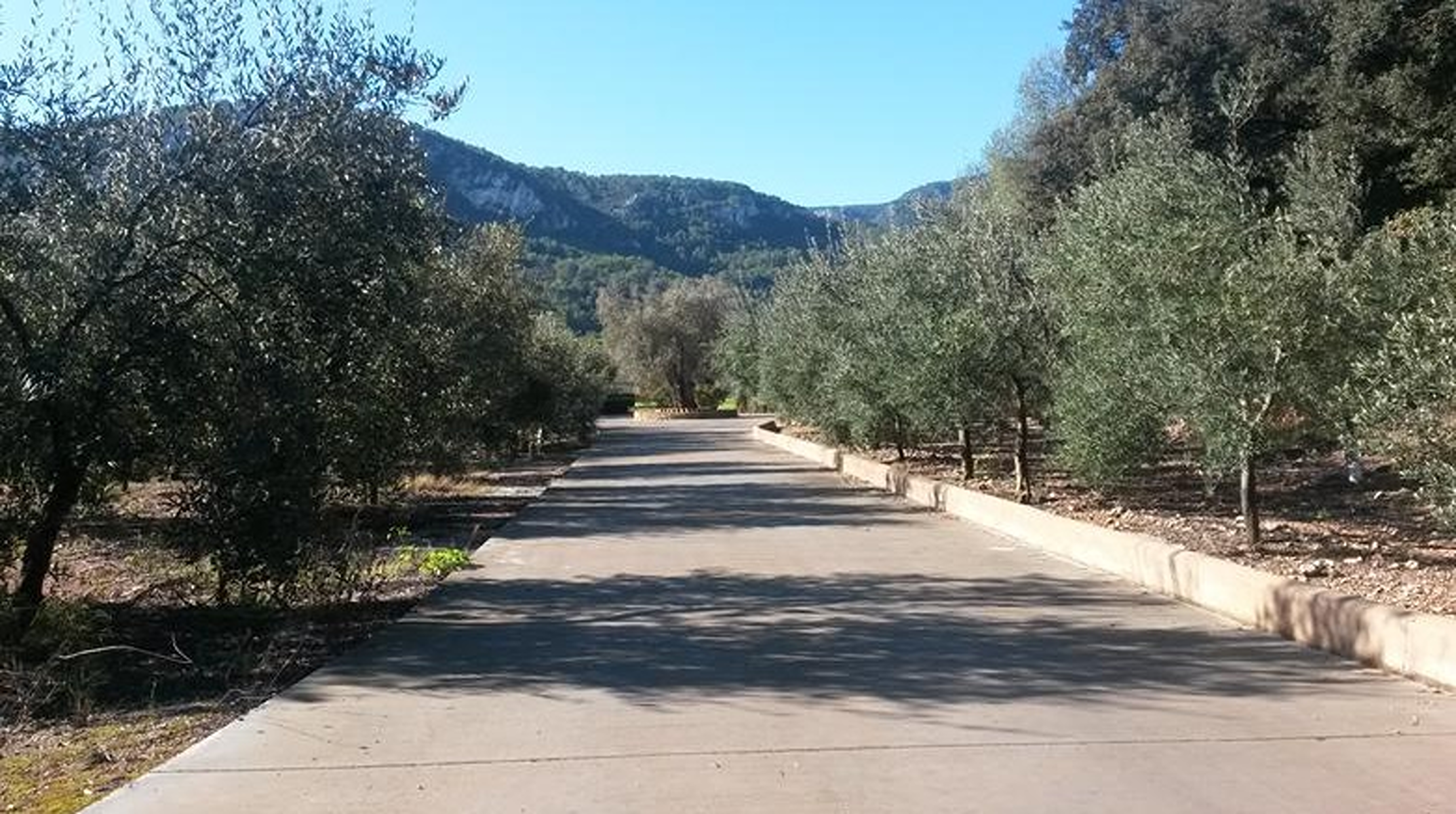  Country house with pool and mountain views in Esporlas - 物件實景