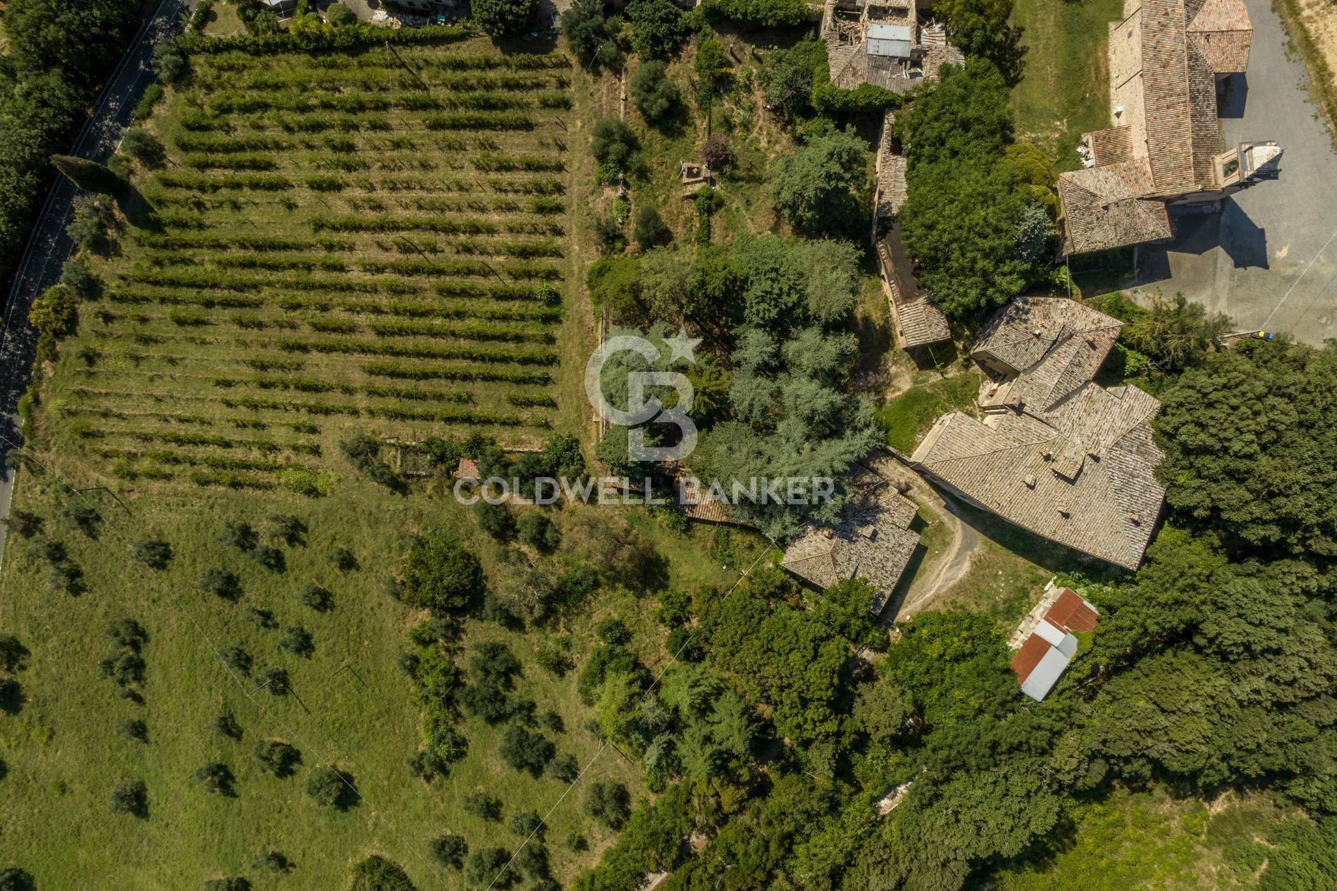 Strada Poggi, Orvieto, Terni, 05018, IT, 20 Bedrooms Bedrooms, ,10 BathroomsBathrooms,Residential,For Sale,Strada Poggi,1668933