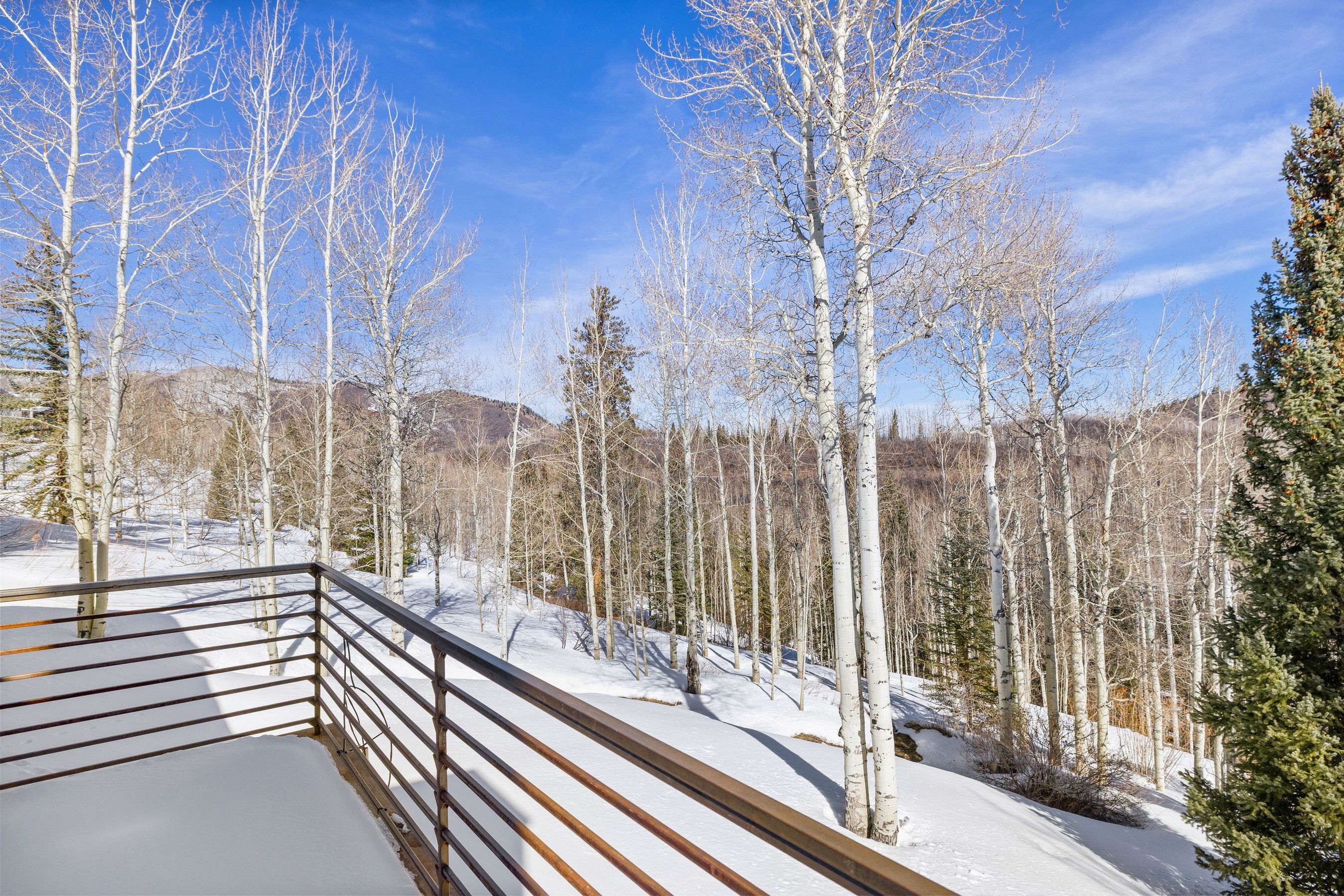  142 Aspen Way, Snowmass Village, CO, 81615 - 物件實景