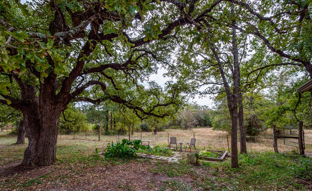 Cedar Creek, Texas, 78612, United States, 4 Bedrooms Bedrooms, ,3 BathroomsBathrooms,Residential,For Sale,1933208