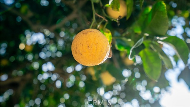 Lynwood, California, 90262, United States, 5 Bedrooms Bedrooms, ,4 BathroomsBathrooms,Residential,For Sale,2011680