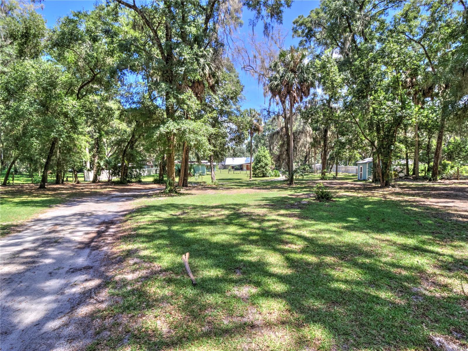 ANTHONY, Florida, 32617, United States, 3 Bedrooms Bedrooms, ,2 BathroomsBathrooms,Residential,For Sale,1941816
