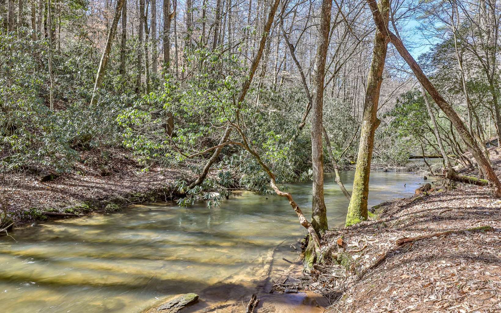 272 Creekside Landing, Ellijay, Georgia, 30540, United States, 3 Bedrooms Bedrooms, ,3 BathroomsBathrooms,Residential,For Sale,272 Creekside Landing,1231806