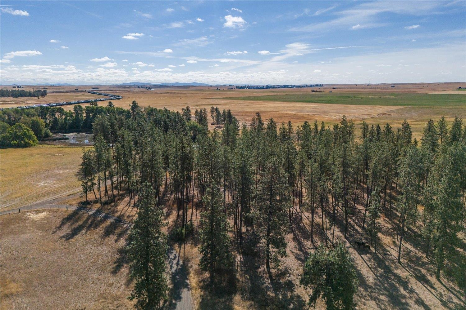 102 E Cameron Rd, Spangle, Washington, 99031, United States, ,Residential,For Sale,102 E Cameron Rd,1404590