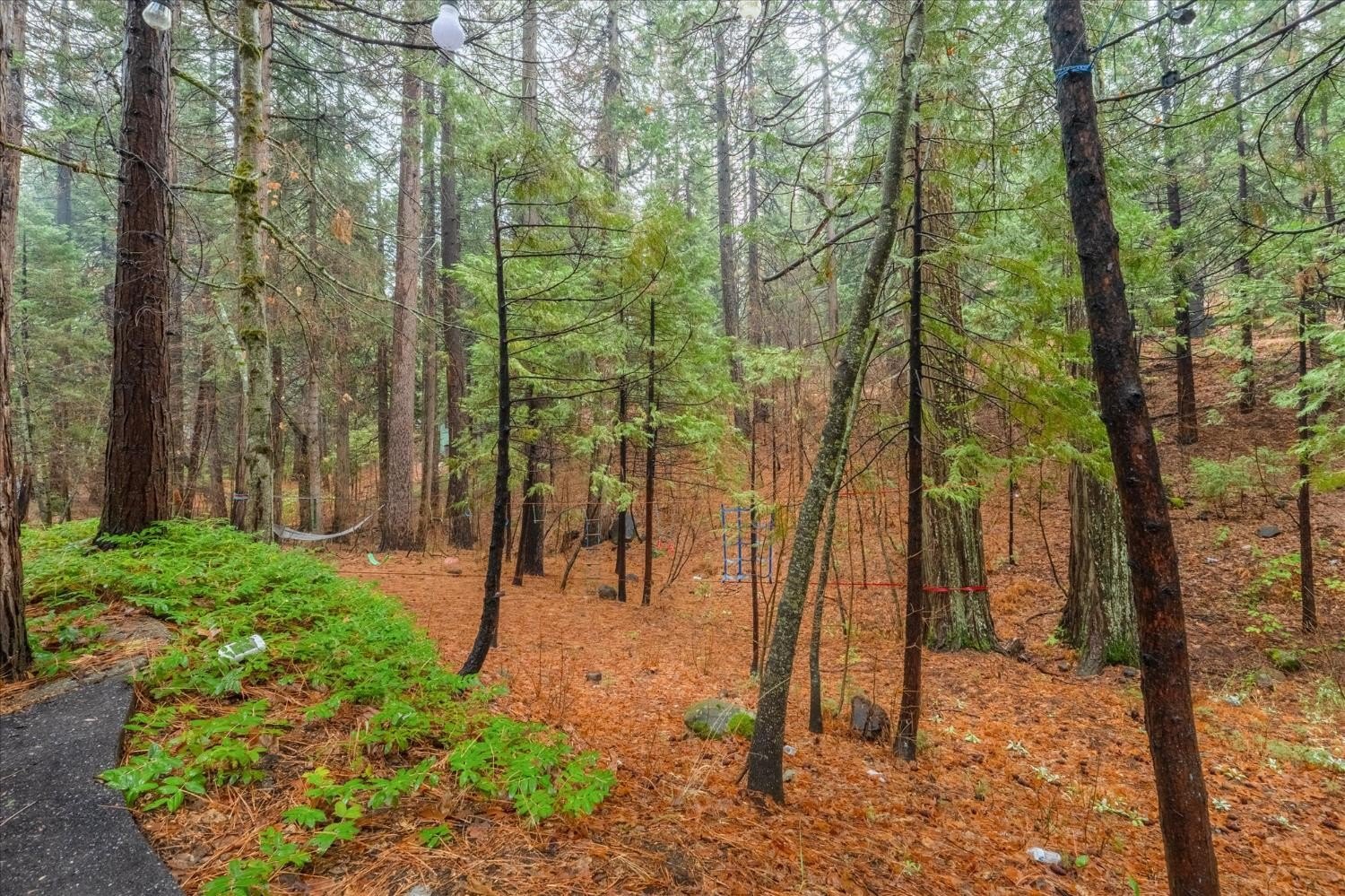 Arnold, California, 95223, United States, 3 Bedrooms Bedrooms, ,2 BathroomsBathrooms,Residential,For Sale,2005489