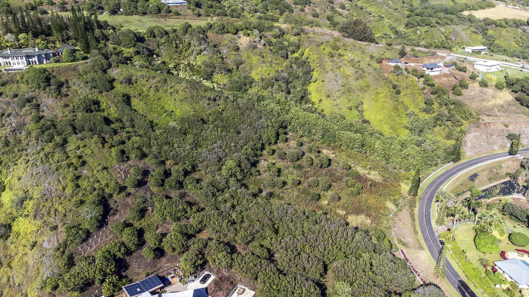 63 Lahaole Pl, Wailuku, Hawaii, 96793, United States, ,Land,For Sale,63 Lahaole Pl,1676772