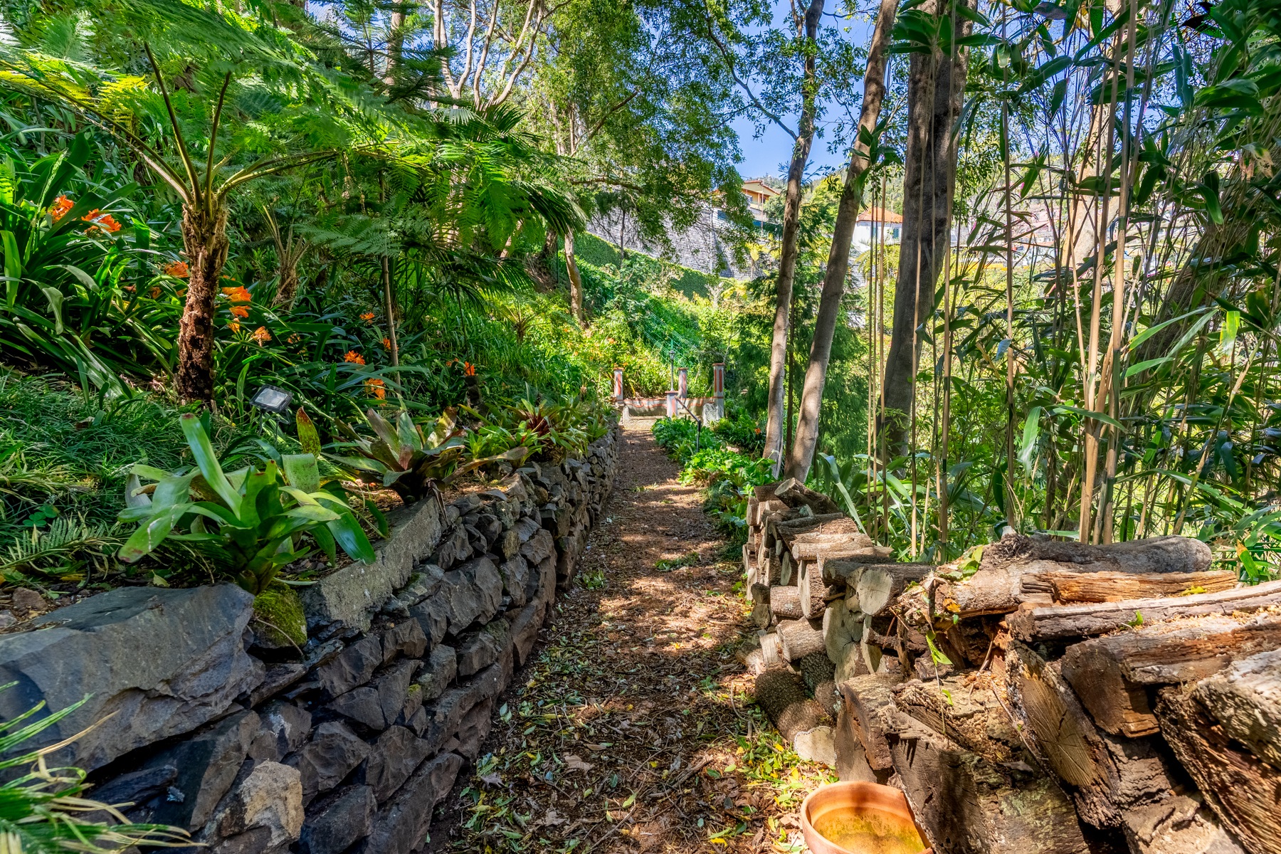  House, 3 bedrooms, for Sale - 物件實景