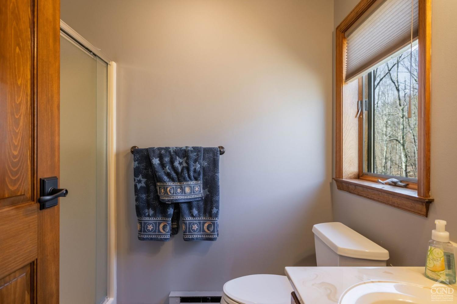 Hunter, New York, 12442, United States, 4 Bedrooms Bedrooms, ,5 BathroomsBathrooms,Residential,For Sale,1792843