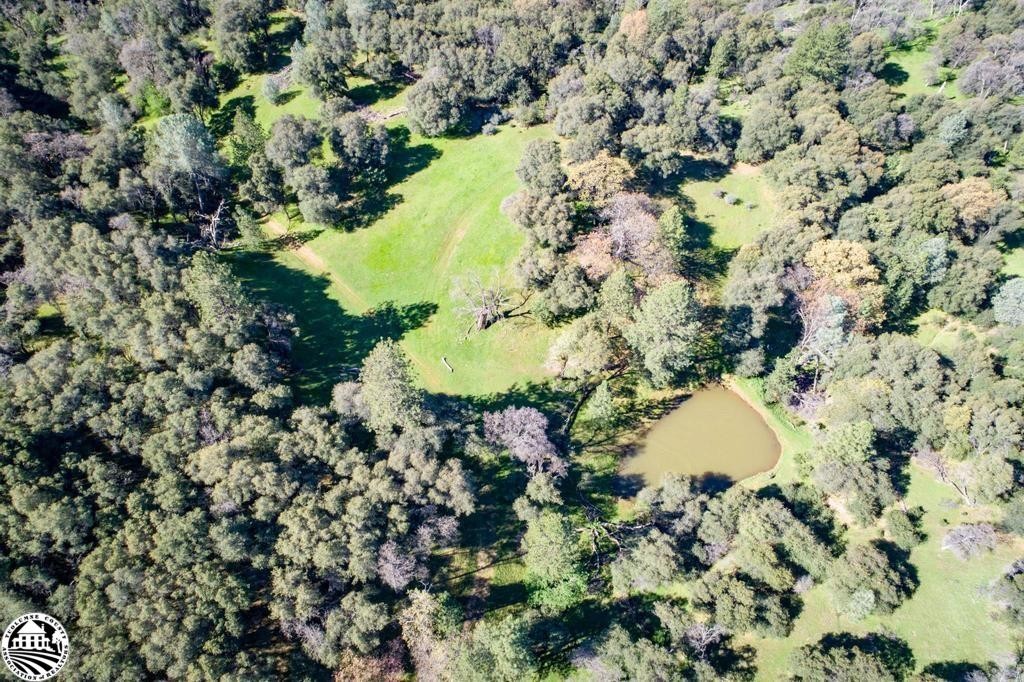 16551 Wards Ferry, Big Oak Flat, California, 95305, United States, 2 Bedrooms Bedrooms, ,2 BathroomsBathrooms,Residential,For Sale,16551 Wards Ferry,1619355