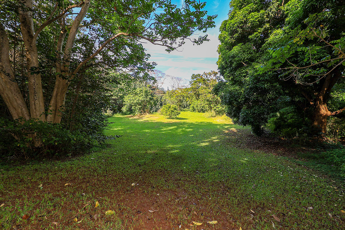 6828-B KUAMOO RD 2, Kapaa, Hawaii, 96746, United States, ,Land,For Sale,6828-B KUAMOO RD 2,1672725