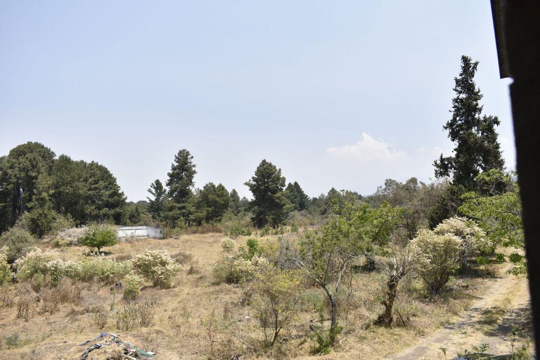 Texcaltitla, Atlautla, Estado de México, 56970, Mexico, 1 Bedroom Bedrooms, ,Residential,For Sale,Texcaltitla,1623974