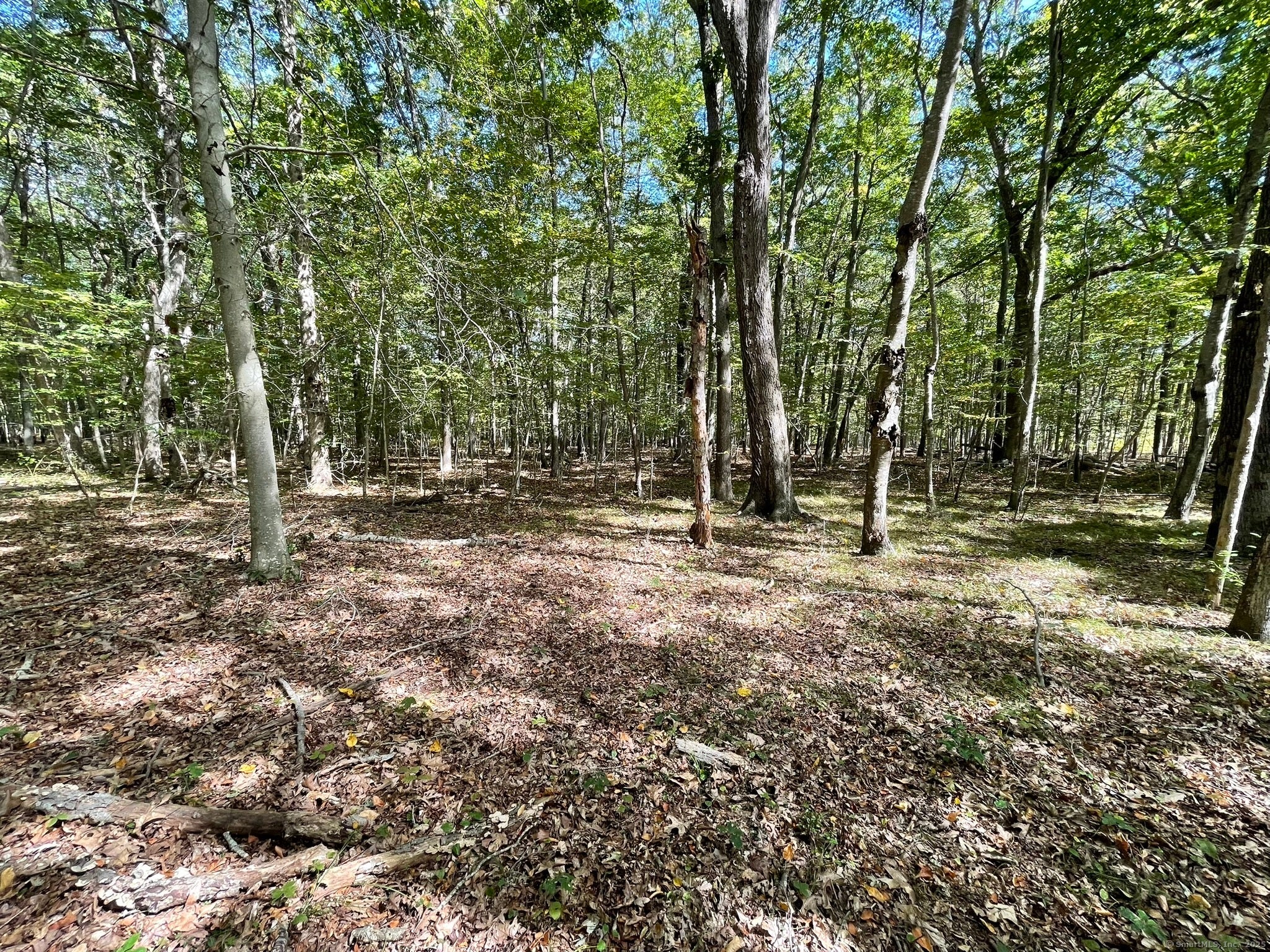 Old Lyme, Connecticut, 06371, United States, ,Land,For Sale,1979689