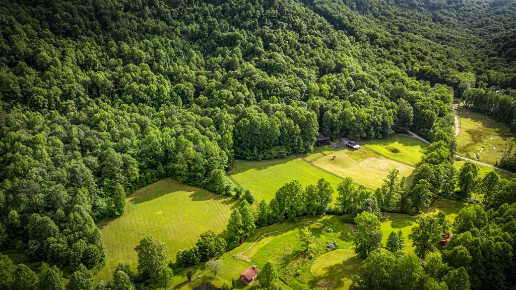 Blue Ridge, Georgia, 30513, United States, 3 Bedrooms Bedrooms, ,3 BathroomsBathrooms,Residential,For Sale,1974409