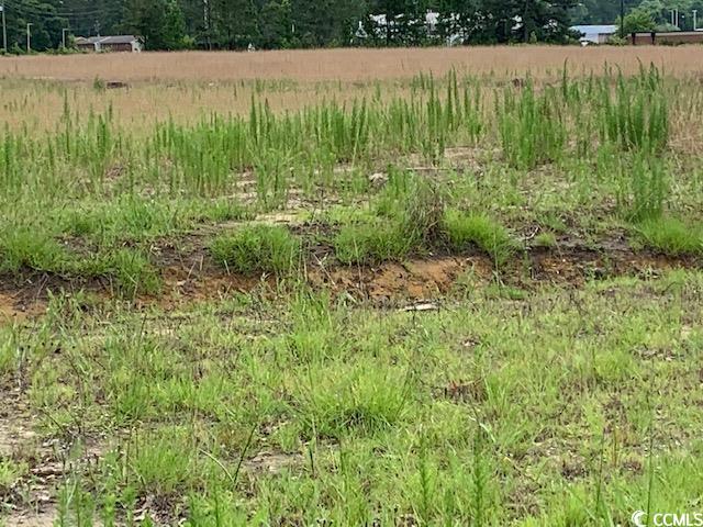 Shallotte, North Carolina, 28470, United States, ,Residential,For Sale,1849899