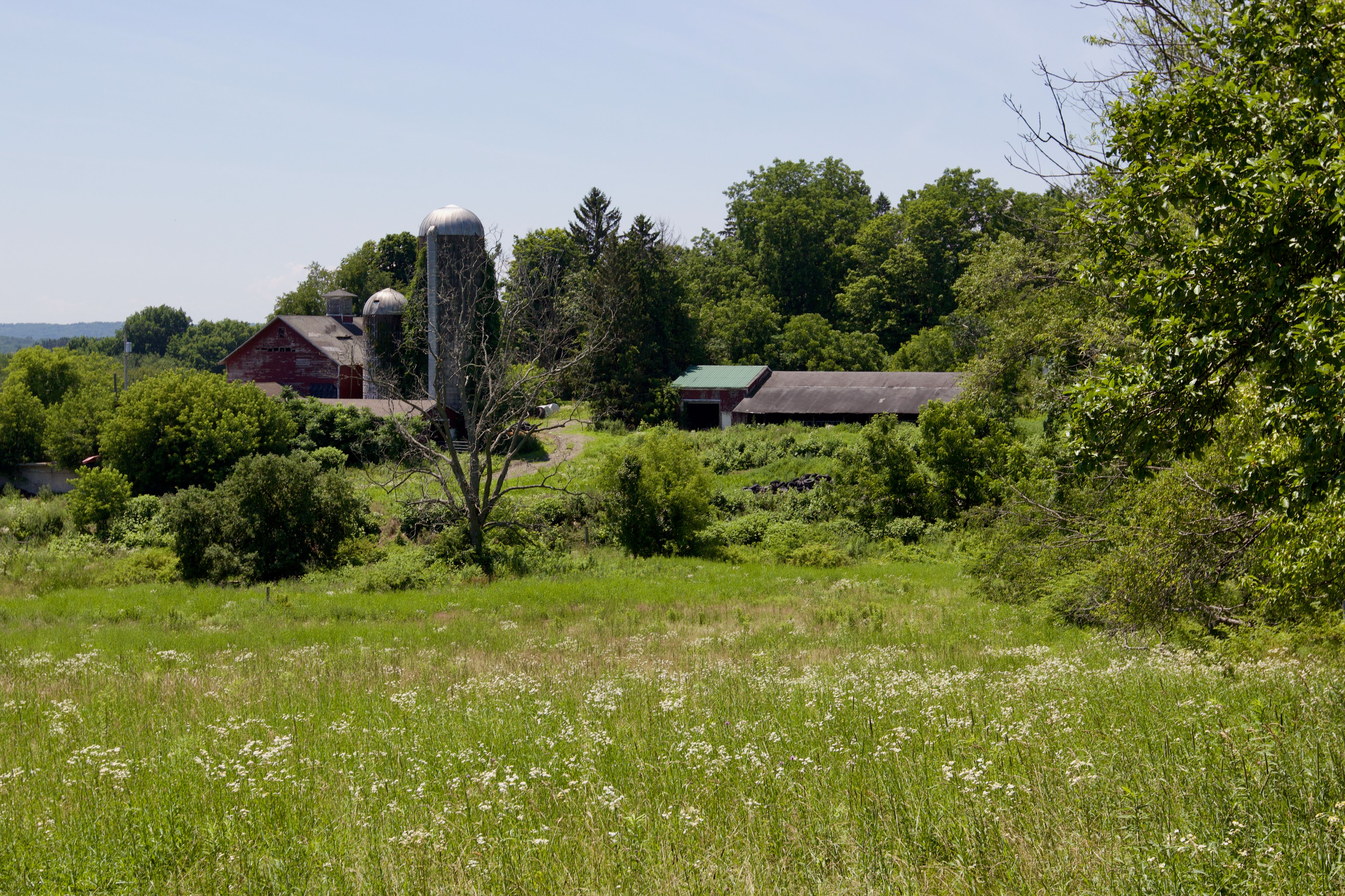  90 West End Road, Hillsdale, NY 12529 - 物件實景