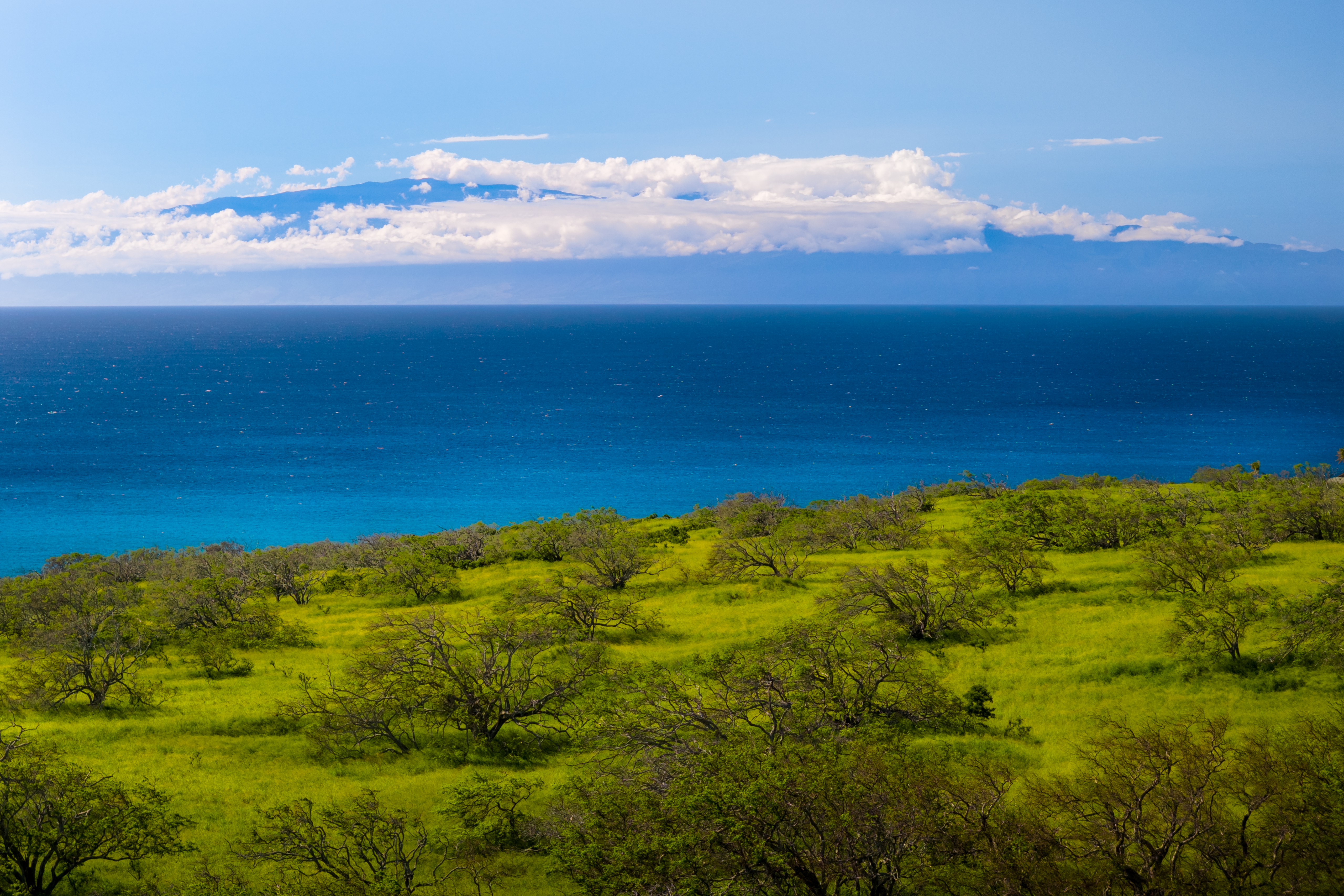  56-183 Pualani Rd, Hawi, HI, 96719 - 物件實景