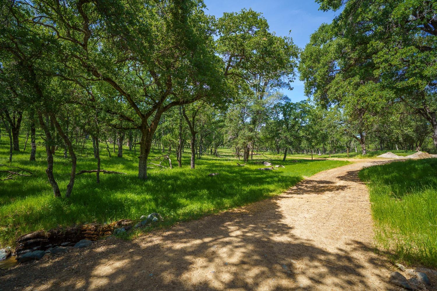 Lincoln, California, 95648, United States, ,Land,For Sale,1784125