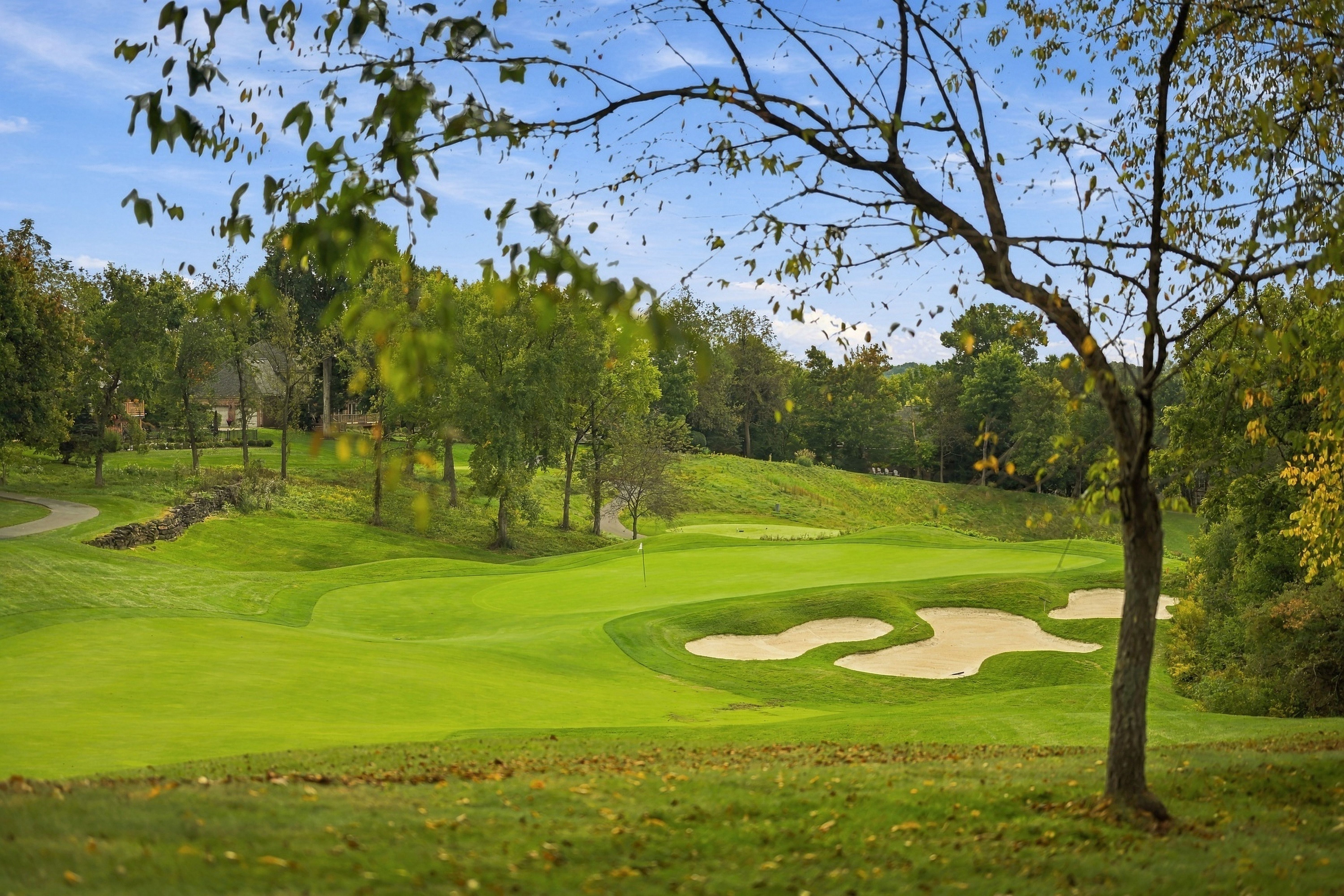  229 Cypress Knoll Drive, Sewickley, PA 15143 - 物件實景