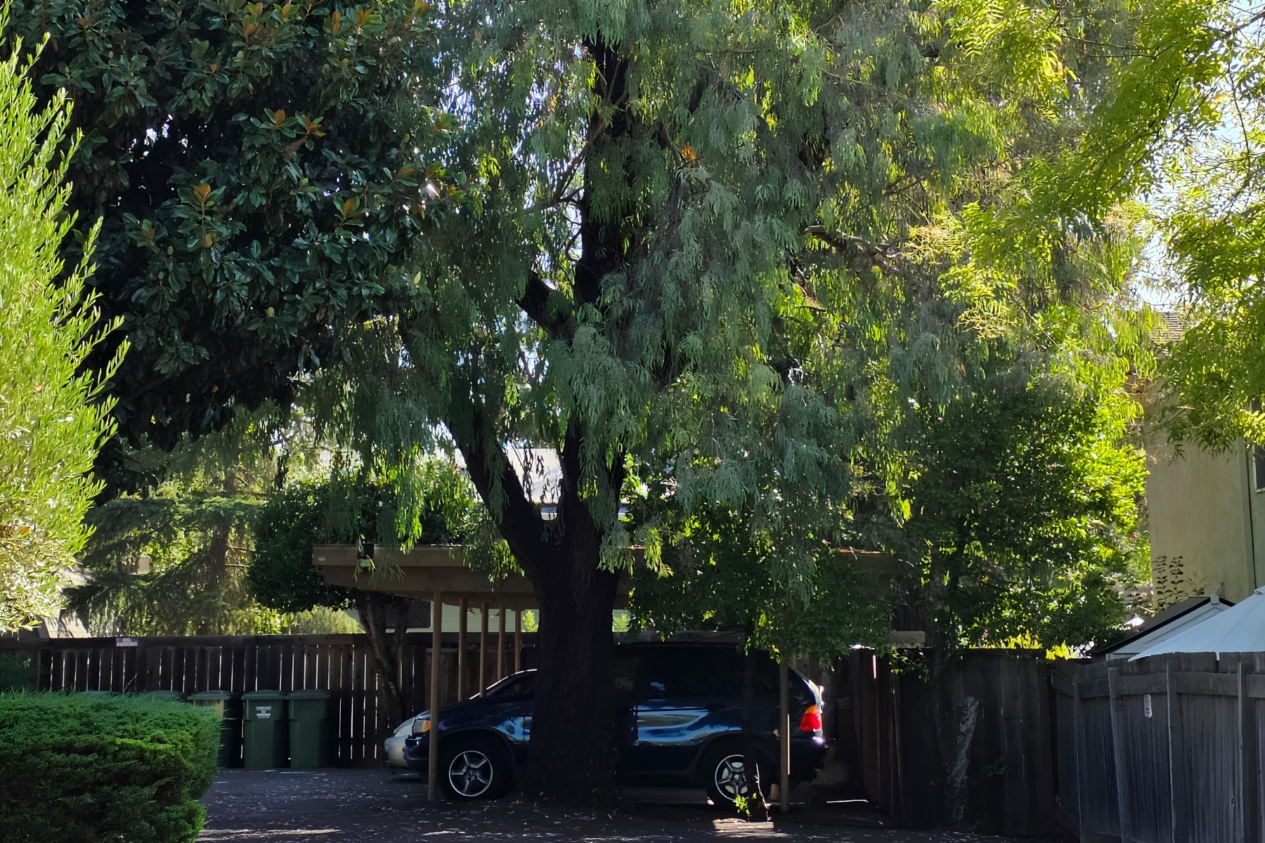  Rustic Yountville Investment Opportunity - 物件實景