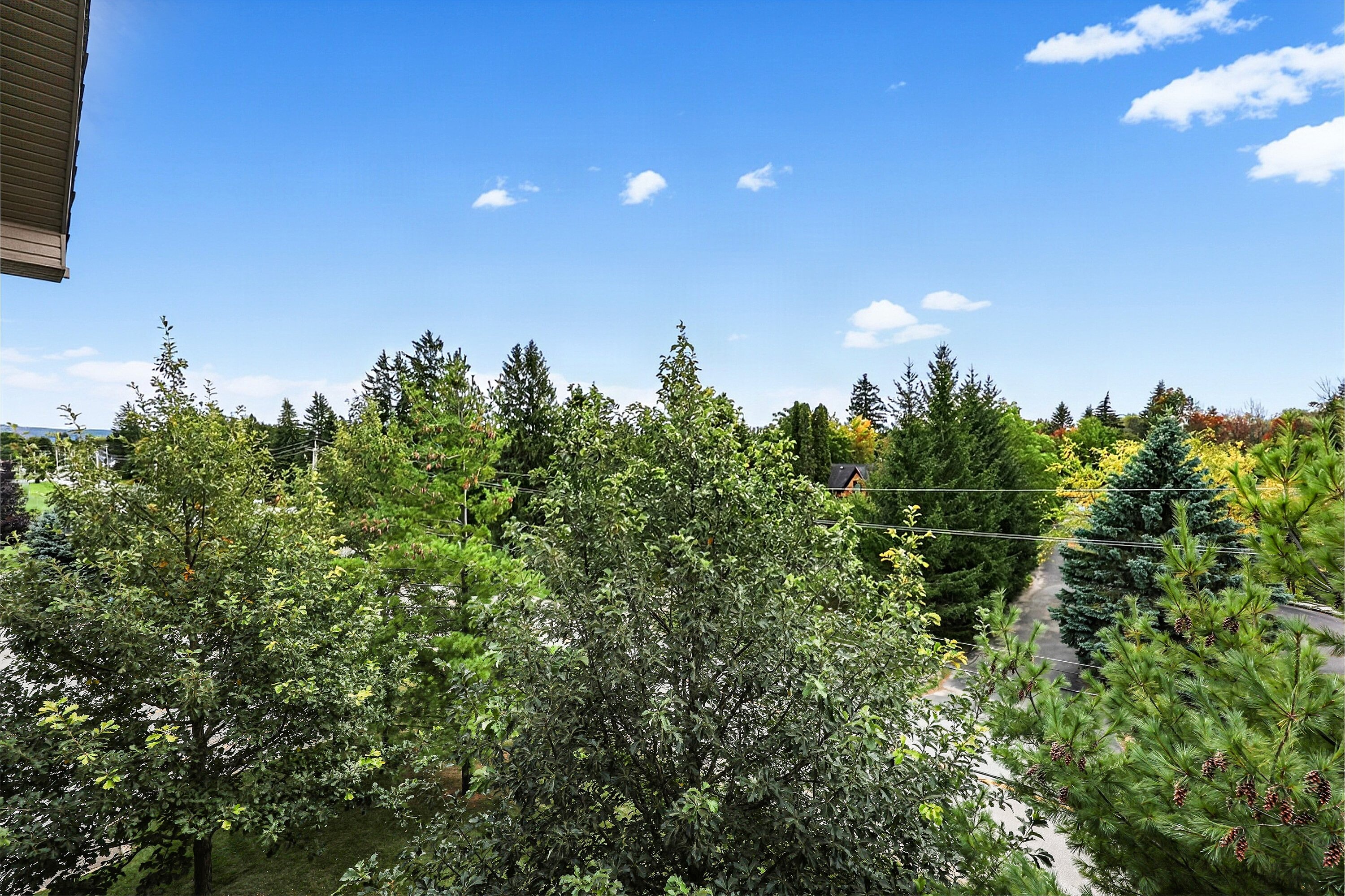  Charming Far Hills Condo - 物件實景