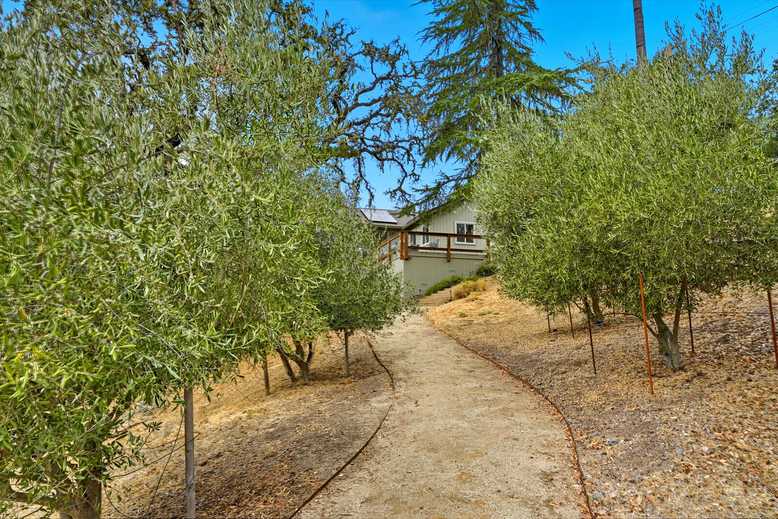  Exceptional Estate Perched On Over 11± Private Acres - 物件實景