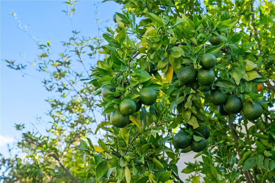 Murrieta, California, 92563, United States, 3 Bedrooms Bedrooms, ,2 BathroomsBathrooms,Residential,For Sale,1987315