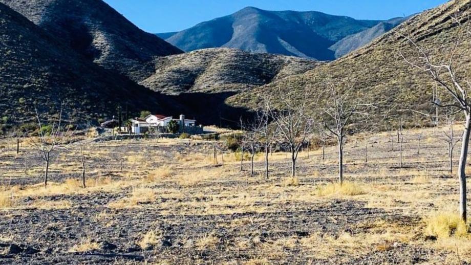 Parras, Coahuila de Zaragoza, 27986, Mexico, 1 Bedroom Bedrooms, ,Residential,For Sale,1699618