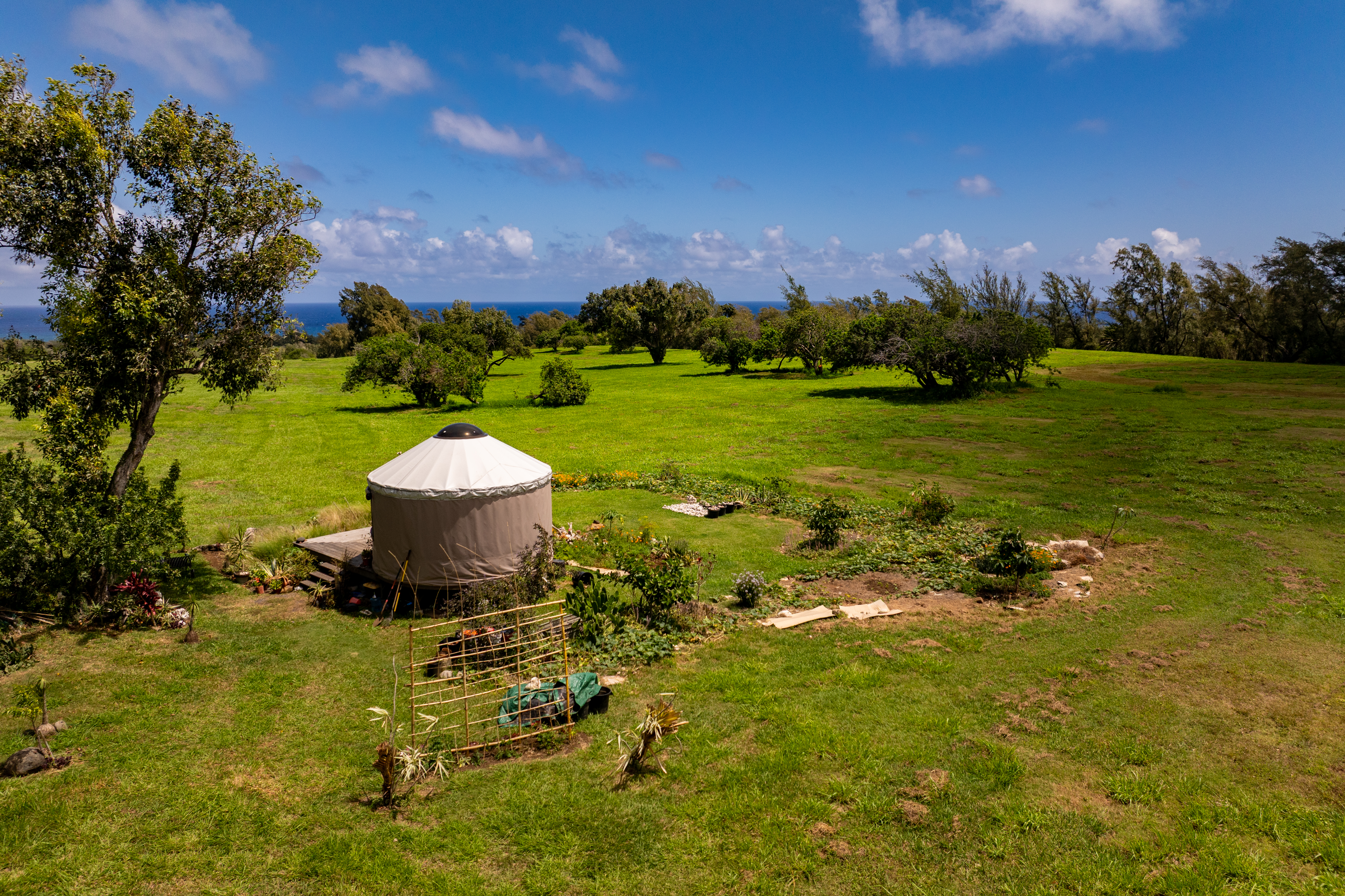  53-4223 Pratt Road, Kapaau, HI 96755 - 物件實景