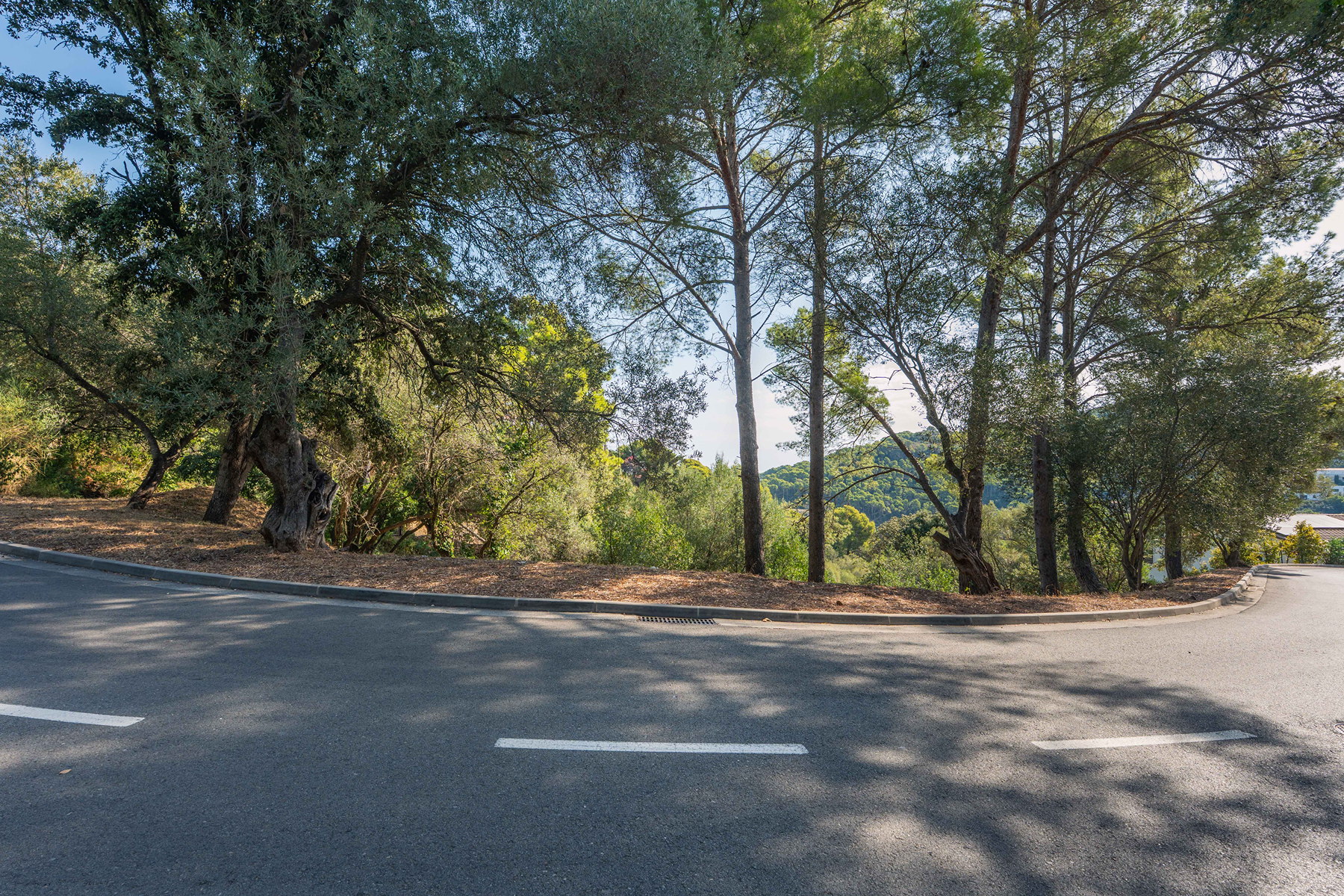  Good plot with a single-family home project in Sa Riera, Begur - 物件實景