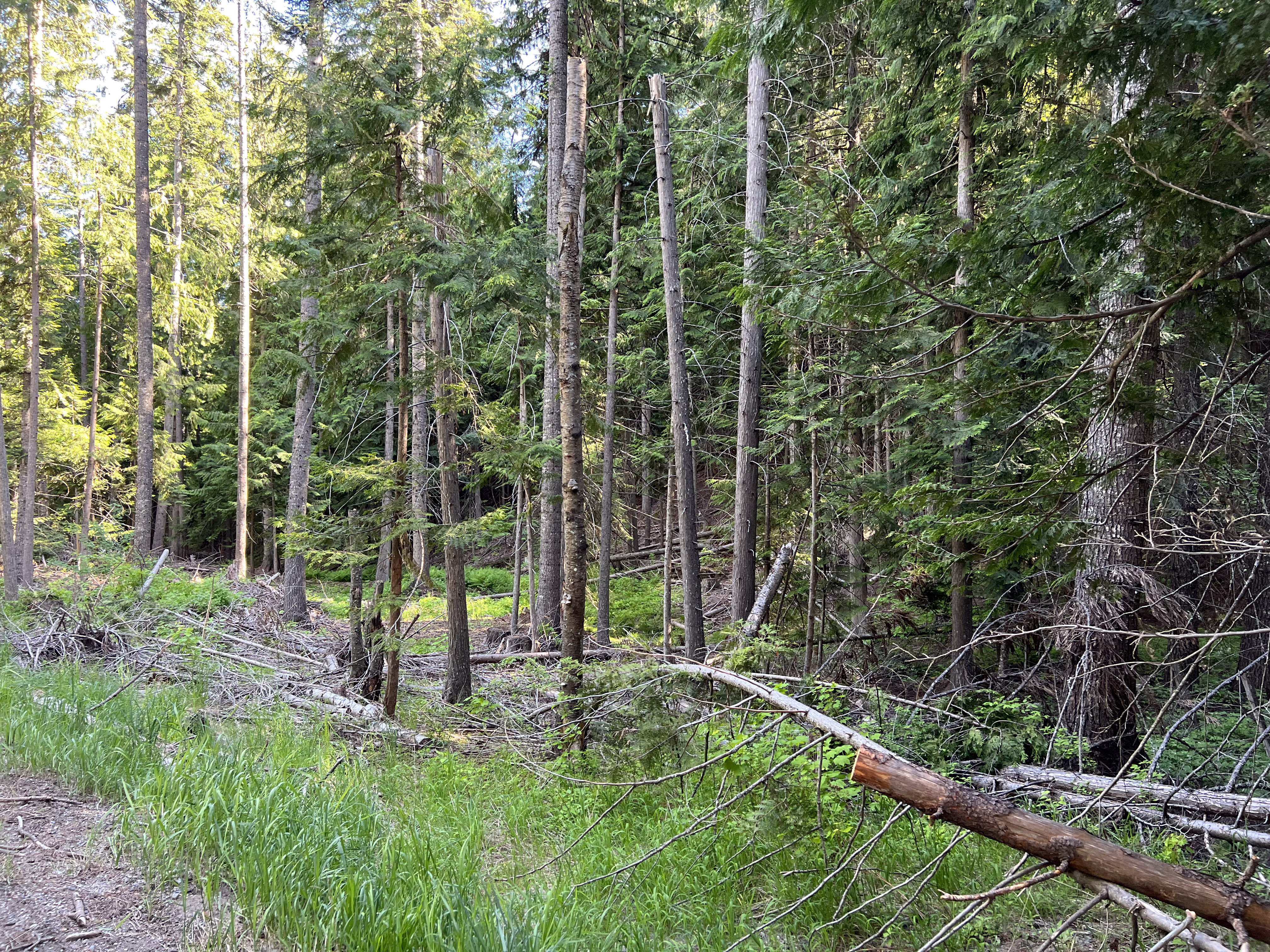 Colville, Washington, 99114, United States, 2 Bedrooms Bedrooms, ,2 BathroomsBathrooms,Residential,For Sale,1928739